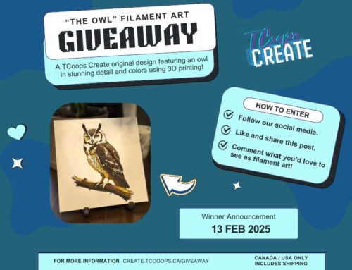 “The Owl” Filament Art Giveaway